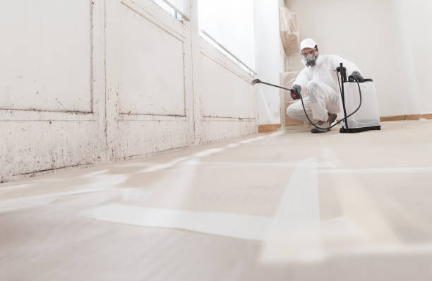 24/7 Emergency Attic Mold Removal experts in Jacksonville, FL